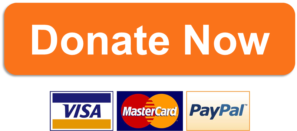 donate-now-button-donate-now-button-orange-text-label-credit-card-logo-transparent-png-1571354.png
